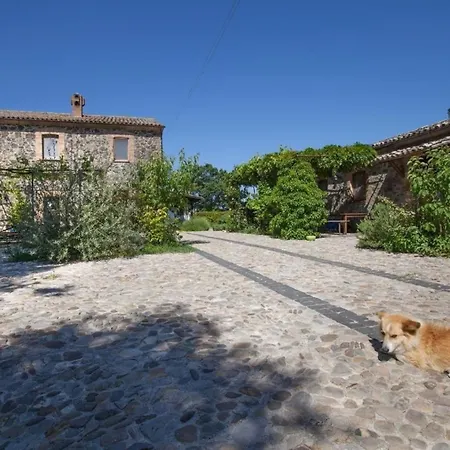Noce * Castel Giorgio